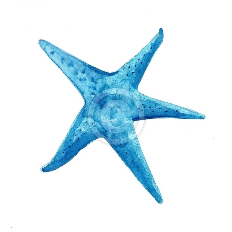 Star Fish