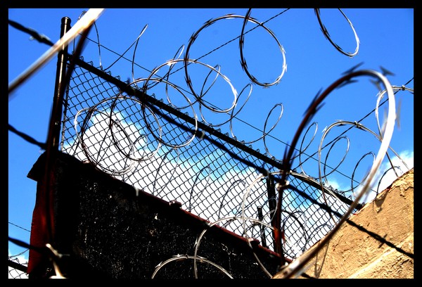 tangled razor wire