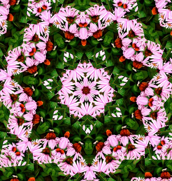 Summer Garden Kalidiscope