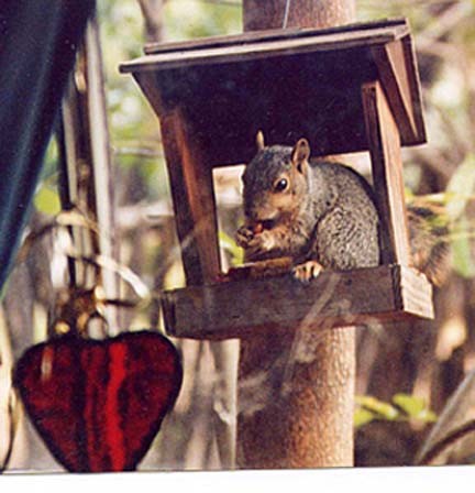 Home is Where the Heart Is
