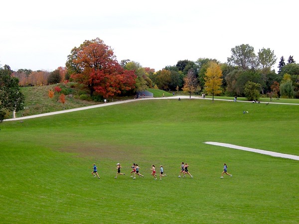 In the Park