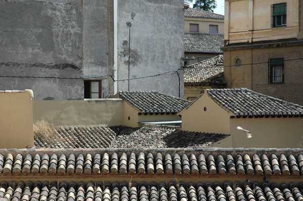 plaster and tile
