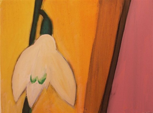 spring 2