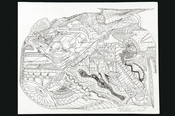 the vortex
