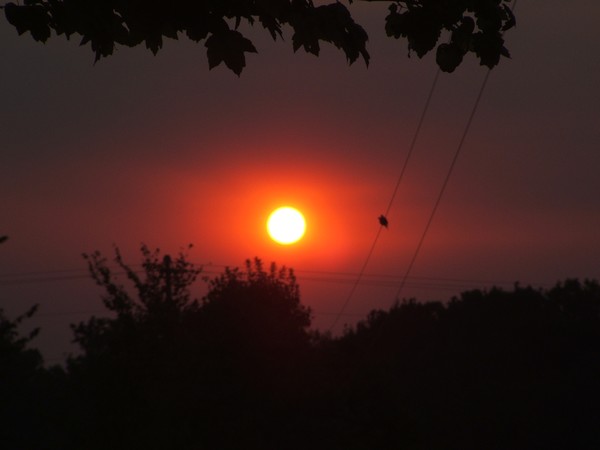 love at sunset