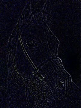 arabian