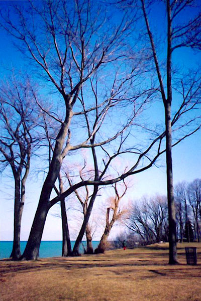 Big Bay 1