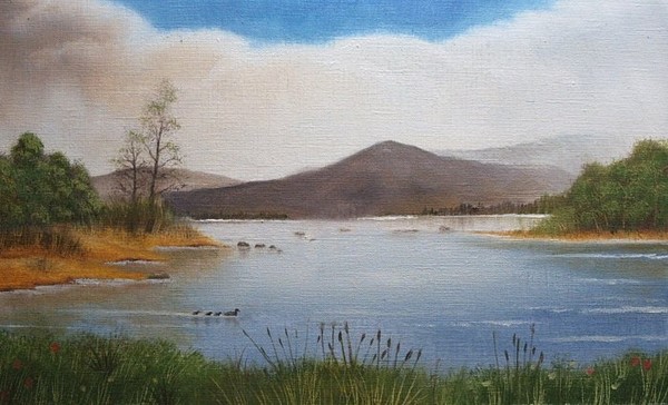 Incoming Duck Weather