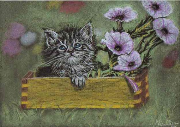 Spring Time 