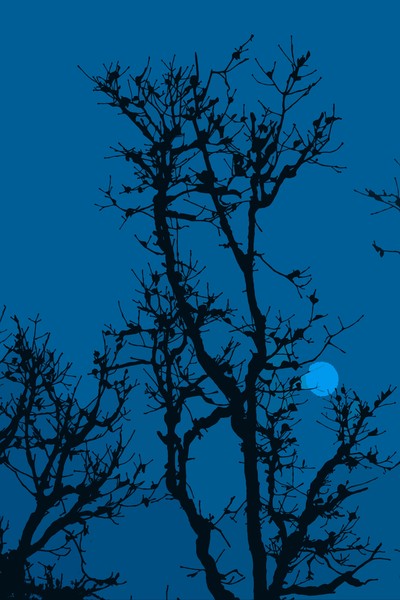 Blue Moon
