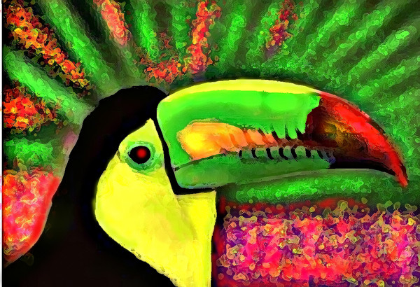 TOUCAN TANGO