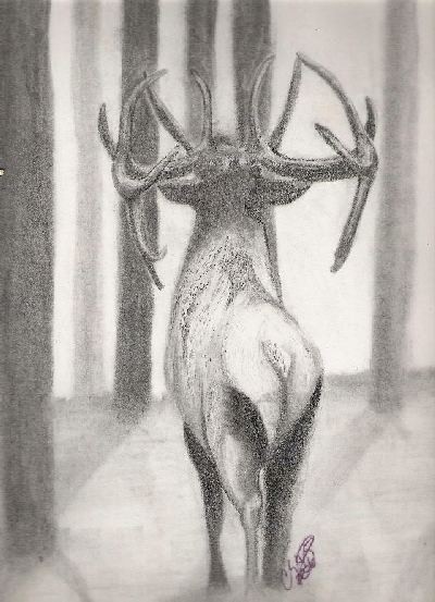 The Bugler
