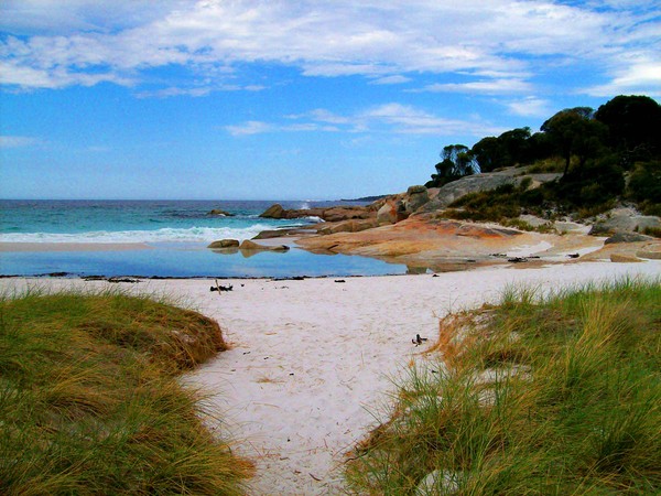 Jeanneret Beach  TASMANIA