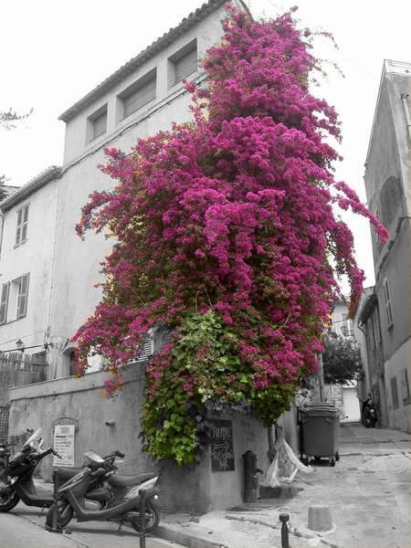 The old corner