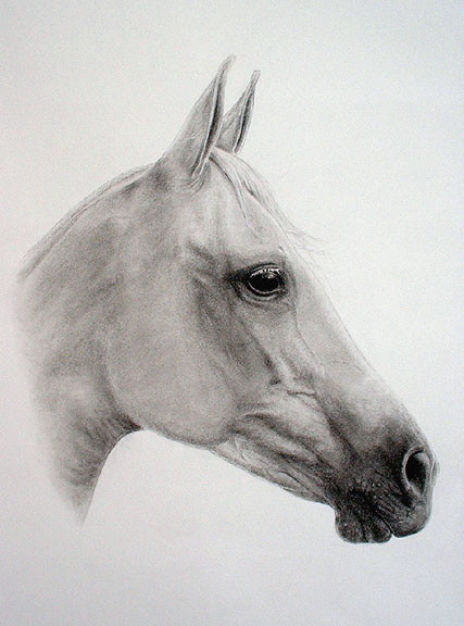 Mystic Grey