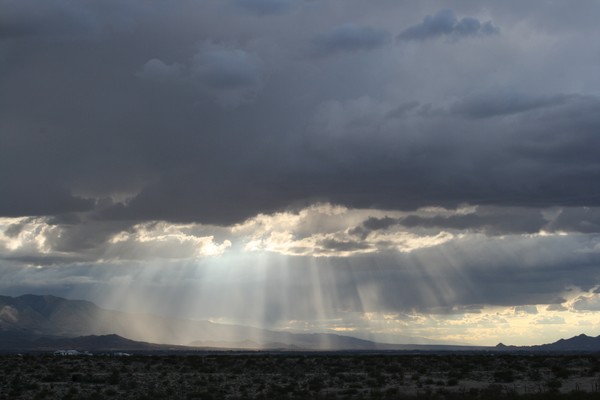Raining Rays #2  (up close)