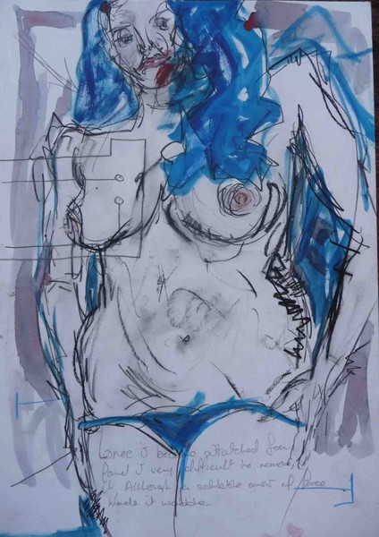 Study 31