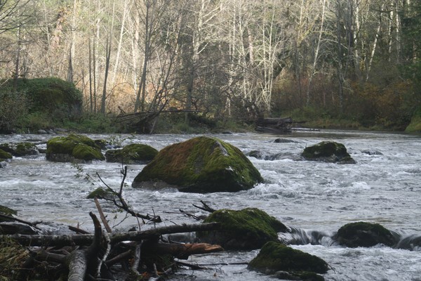 At the Water's Edge