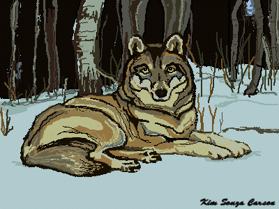 Lying Wolf