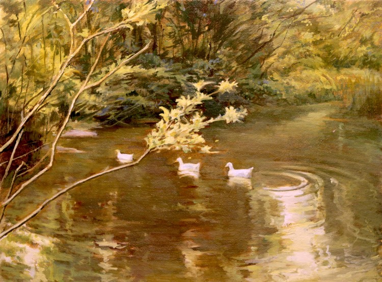 Duck Family Swim