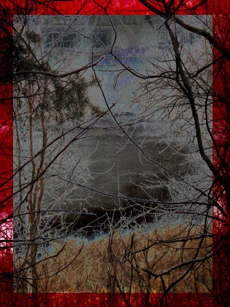 Dark Waters