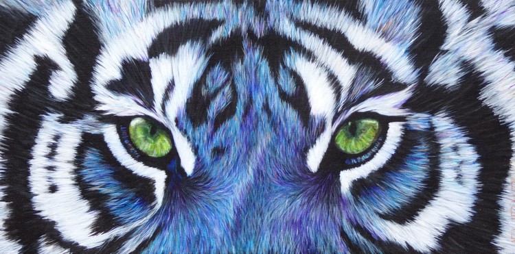 Tiger Blue
