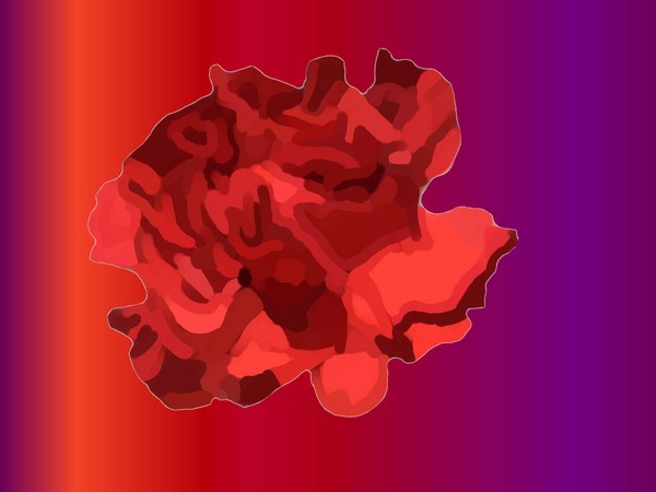 homecoming flower