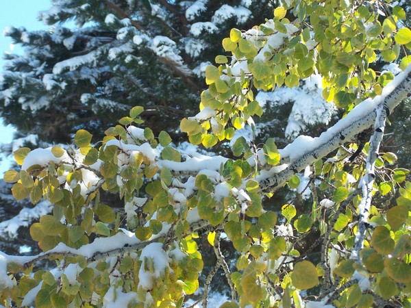 first snow