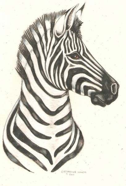 Zebra Portrait Greeting Card