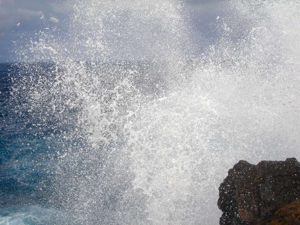 Ocean In Motion 0023