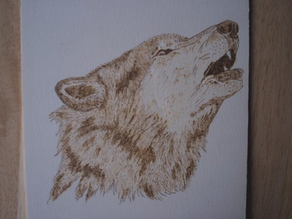 wolf howl 11