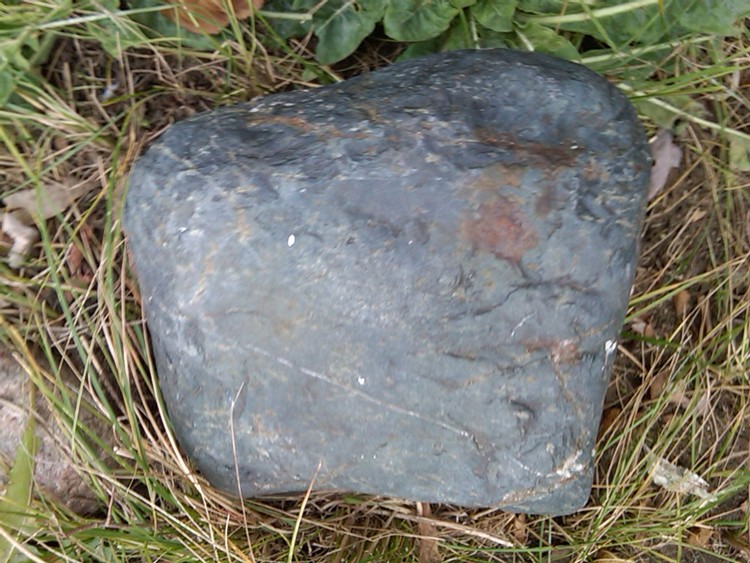 IMG01381-20101121-1340