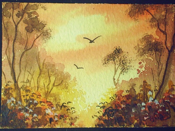 sunset view