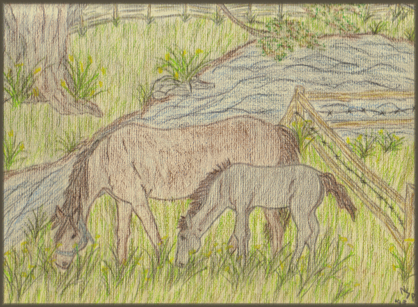 Horses Grazing