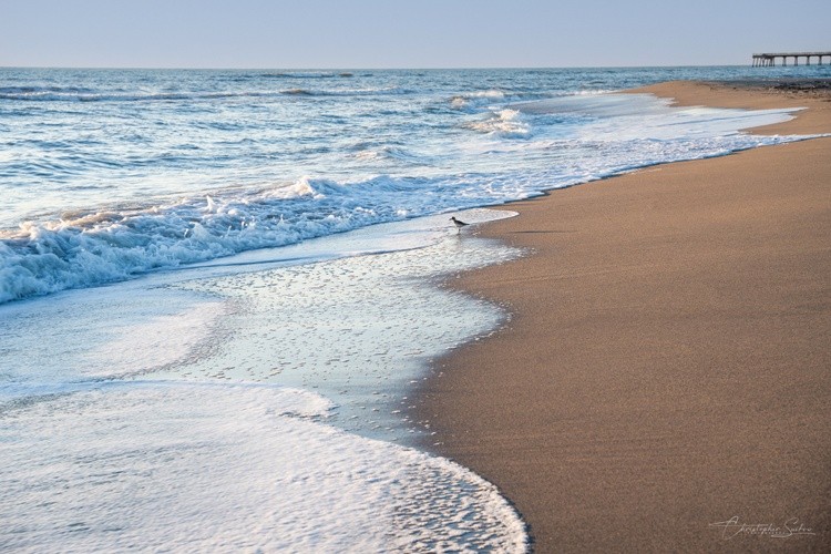 Paradise Found
