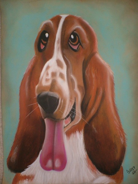 Basset Hound