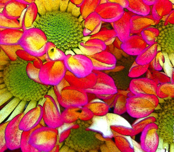 Painted FLowers