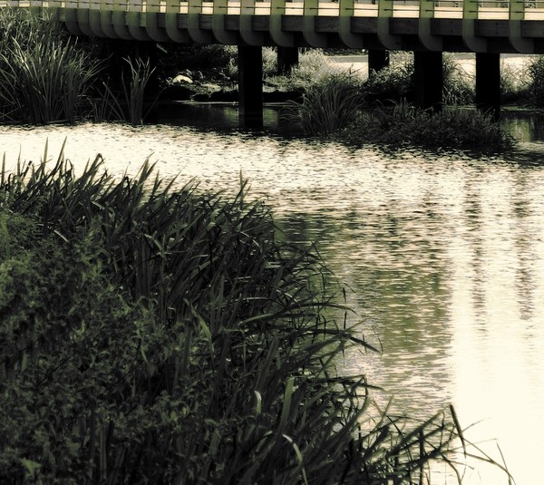 On The Water's Edge