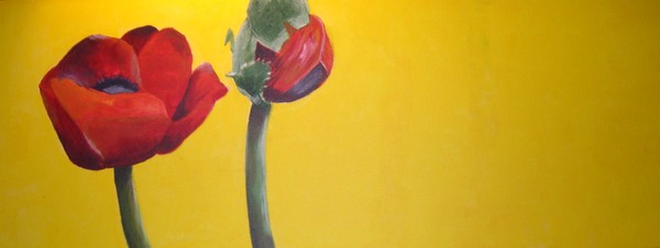 Poppies