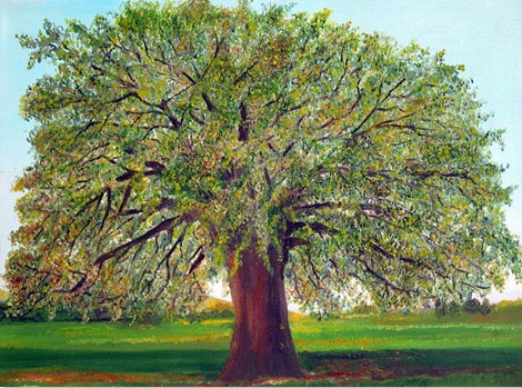 Olive tree