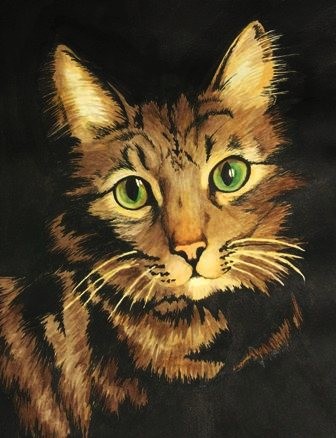 green eyed cat