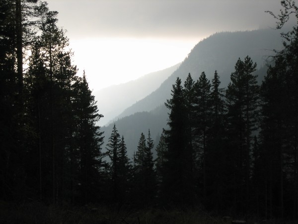mysterious norway ringebufjell