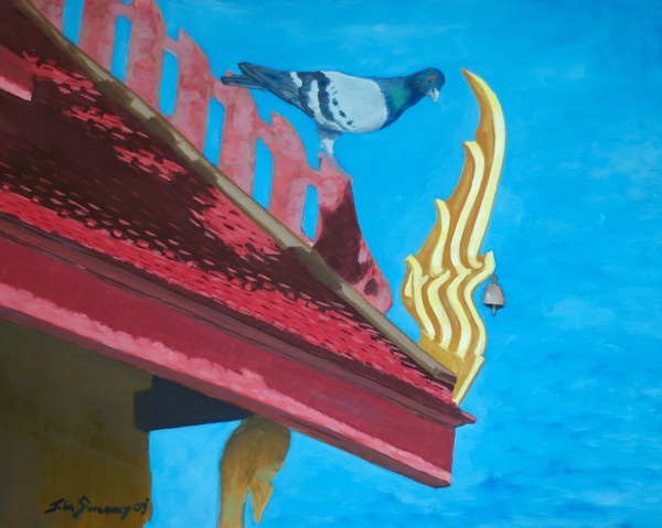 Temple Pigeon