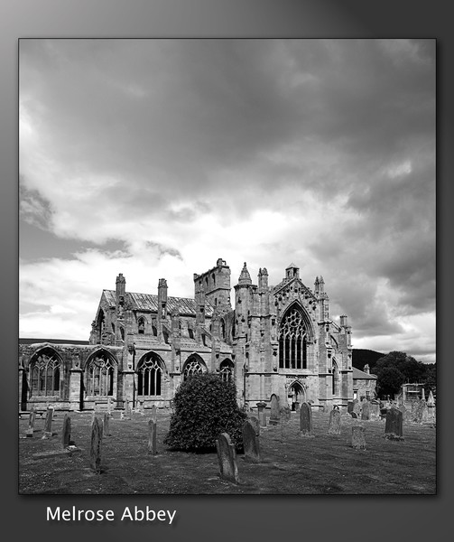 Abbey Ruins