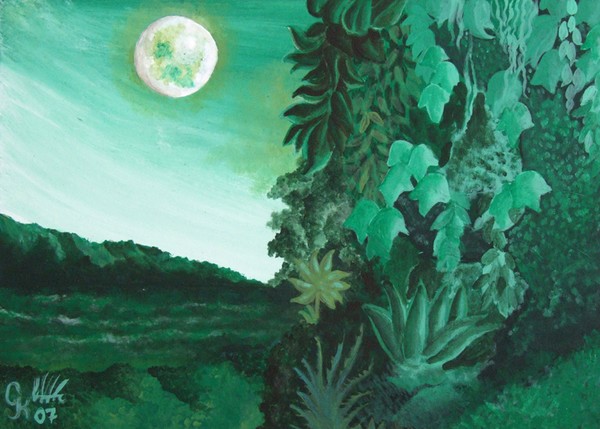 Tropical Dreaming