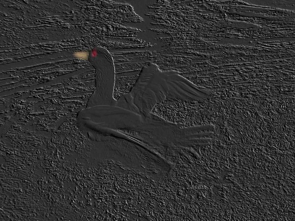 Swan/embossed