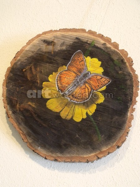 Butterfly on log
