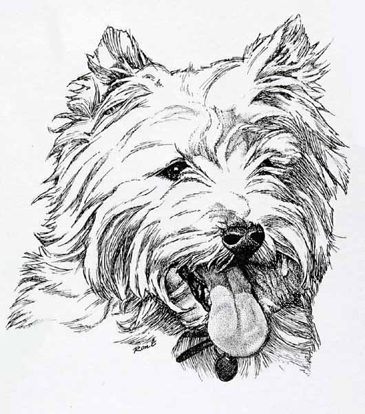 Westie_resized