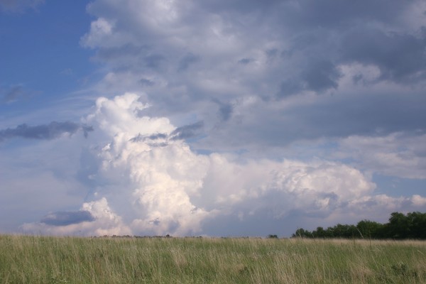 Storm Cloud