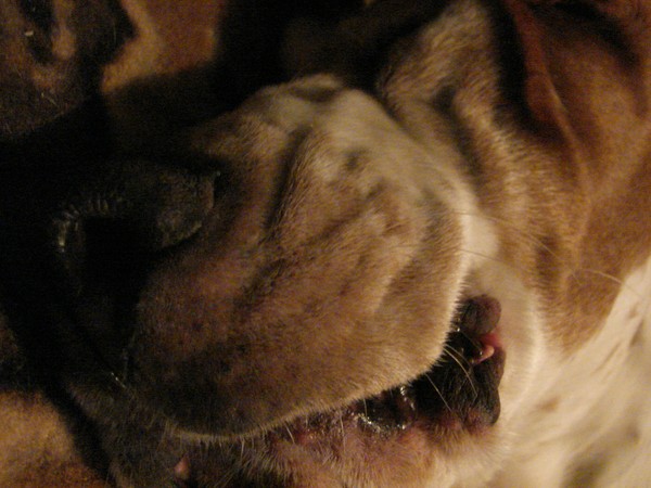Dragon breath